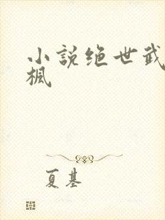 小说绝世武魂陈枫