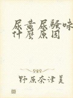 尿黄尿骚味大是什么原因