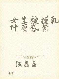 女生被摸乳房是什么感觉