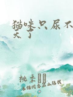 猫咪只尿不拉2天了