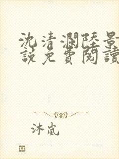 沈清澜陆景沉小说免费阅读最新章节更新