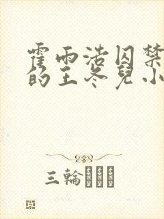 霍雨浩囚禁失忆的王冬儿小说