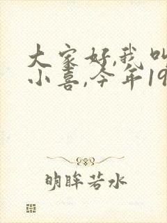 大家好,我叫林小喜,今年19岁小说