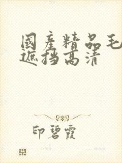 国产精品毛片无遮挡高清