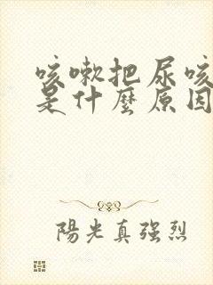 咳嗽把尿咳出来是什么原因引起的