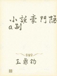 小说豪门隐婚aa制