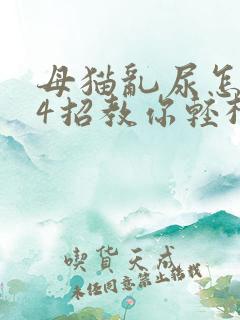 母猫乱尿怎么办4招教你轻松解决
