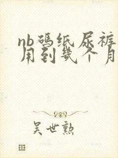 nb码纸尿裤能用到几个月