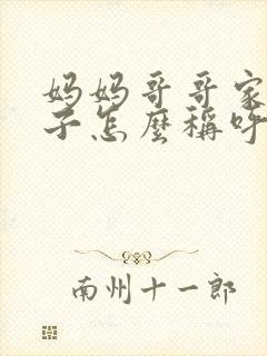 妈妈哥哥家的儿子怎么称呼