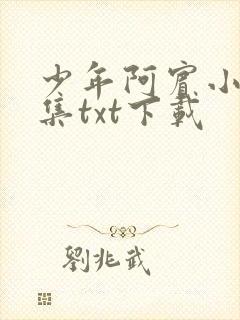 少年阿宾小说全集txt下载
