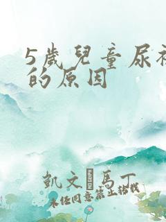 5岁儿童尿裤子的原因