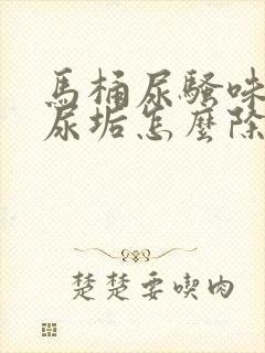 马桶尿骚味大,尿垢怎么除