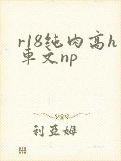 r18纯肉高h车文np