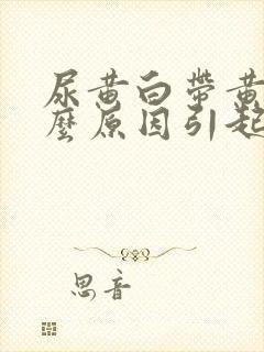 尿黄白带黄是什么原因引起的