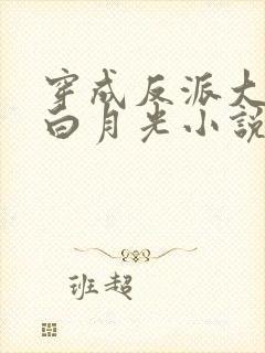 穿成反派大佬的白月光小说