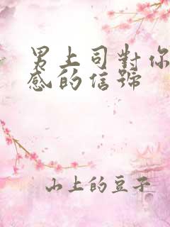 男上司对你有好感的信号