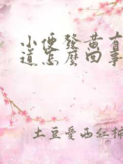 小便发黄有气味道怎么回事