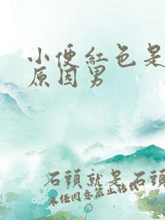 小便红色是什么原因男