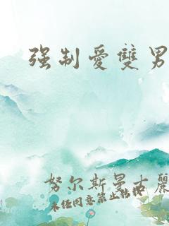 强制爱双男主文