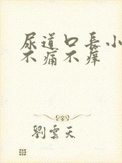 尿道口长小肉粒不痛不痒