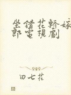 坐错花轿嫁对了郎电视剧