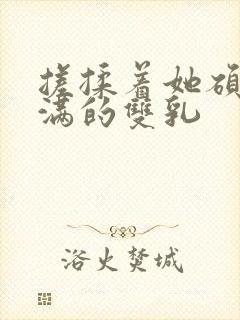 搓揉着她硕大丰满的双乳