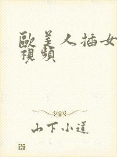 欧美人插女人的视频