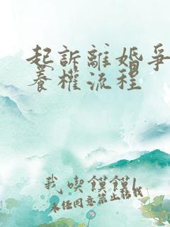 起诉离婚争夺抚养权流程