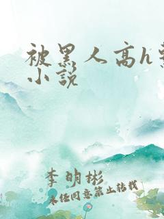 被黑人高h系列小说