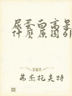 尿蛋白高是由于什么原因引起的