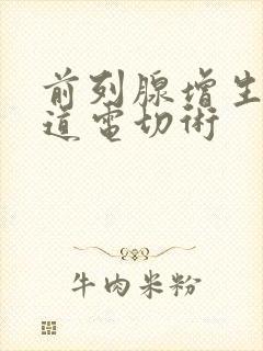 前列腺增生经尿道电切术