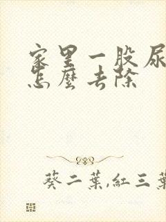 家里一股尿骚味怎么去除