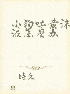 小狗吐黄沫子粘液怎么办