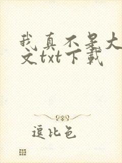 我真不是大佬全文txt下载