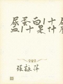 尿蛋白1十尿潜血1十是什么病