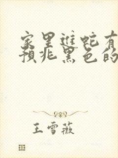 家里进蛇有什么预兆黑色的蛇