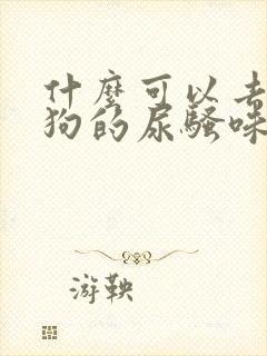 什么可以去除狗狗的尿骚味