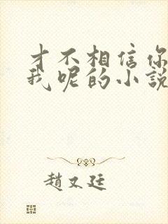 才不相信你暗恋我呢的小说