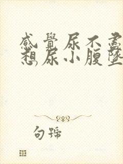 感觉尿不尽一直想尿小腹坠胀