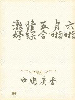 激情五月六月婷婷综合啪啪