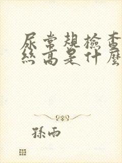 尿常规检查粘液丝高是什么意思