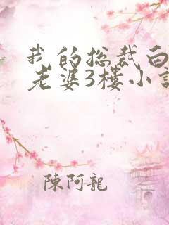 我的总裁白富美老婆3楼小说目录