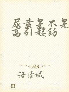 尿黄是不是尿酸高引起的