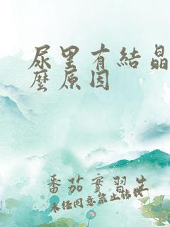 尿里有结晶是什么原因