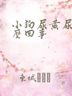 小狗尿黄尿是怎么回事