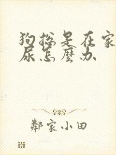 狗总是在家里乱尿怎么办