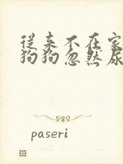 从来不在家尿的狗狗忽然尿了