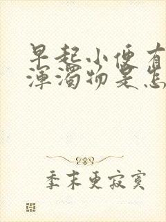 早起小便有白色浑浊物是怎么回事