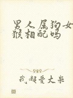 男人属狗女人属猴相配吗