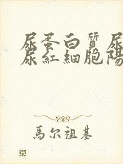 尿蛋白质尿隐血尿红细胞阳性